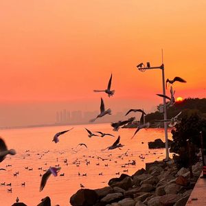 翔田千里69ⅹⅩ
